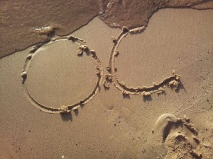 35102526_2245301582363778_1424854657418657792_n