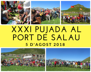 Salau_2018