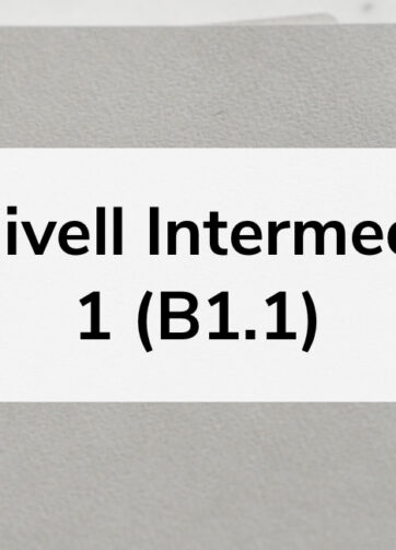 Nivell Intermedi 1 (B1.1)