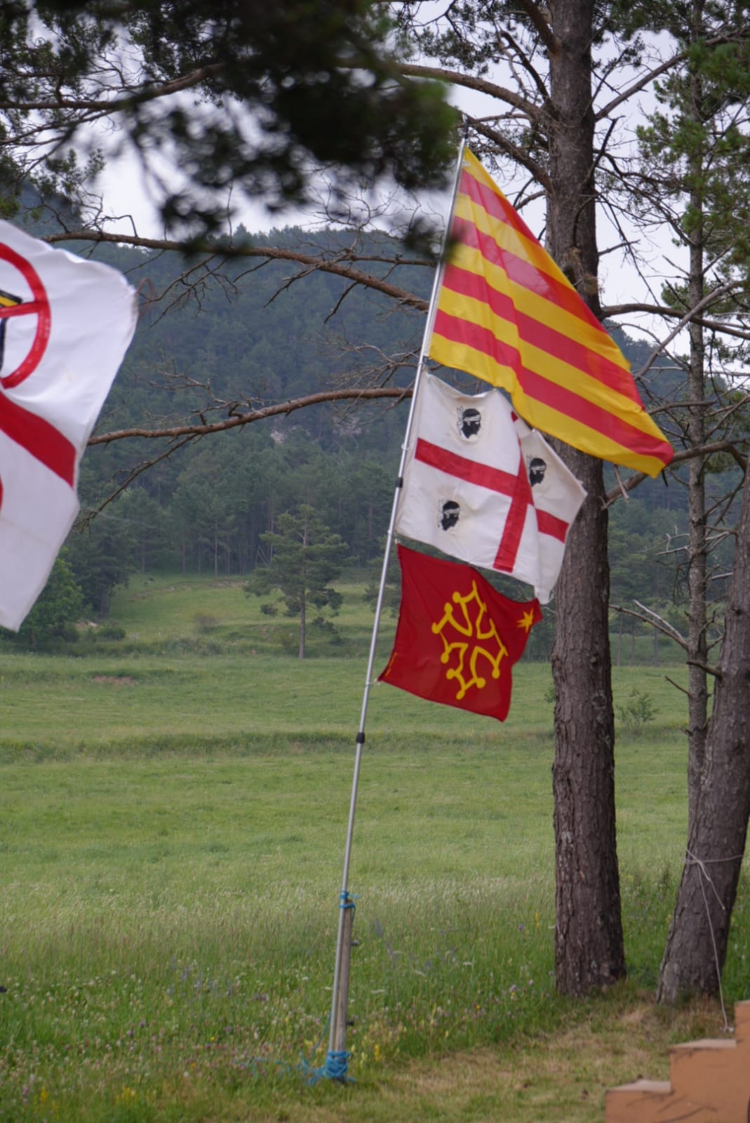Celebració XLV Aplec pàtriòtic al Pi de les Tres Branques